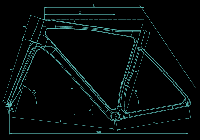 BIKE DETAIL - bianchi
